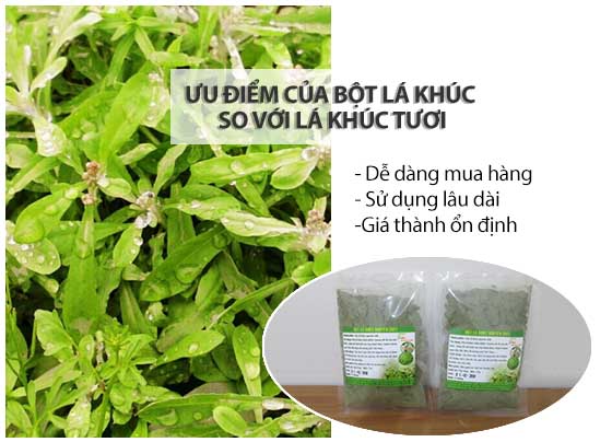 cung cấp bột lá khúc